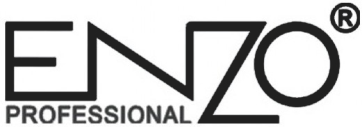 enzo professional logo - لوگو انزو پروفیشنال